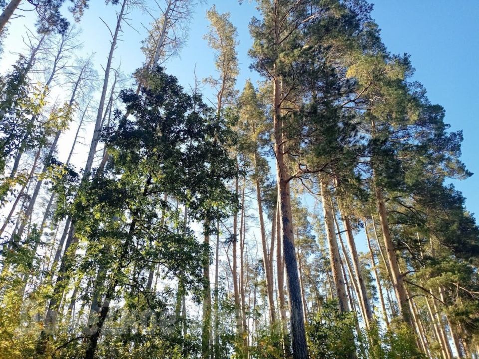 ������ ������ ��� ������: ��� ������ ������� � ����� �� �������������� ����