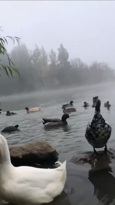 � ��������: ����� ���� ������� � ����