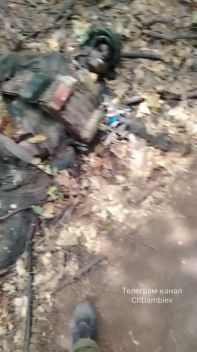 Чингис Дамбиев: Уничтоженная группа боевиков украинских формирований "прилегла" в леспополке на Южно-Донецком направлении