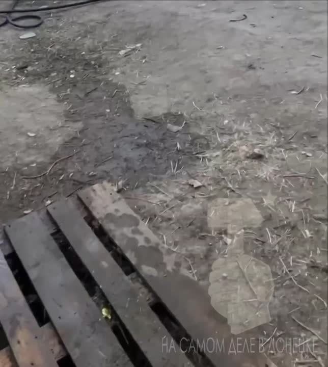 ���� ������ ��� ����� ����� �� ��, ����� ������ �����, ������ ������ ��������� � ���������� ����