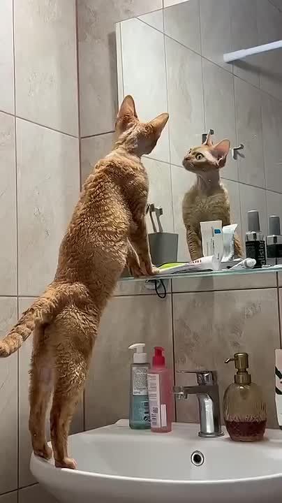 �������. ����. ��, ������� ��� ����� �������� �� ������