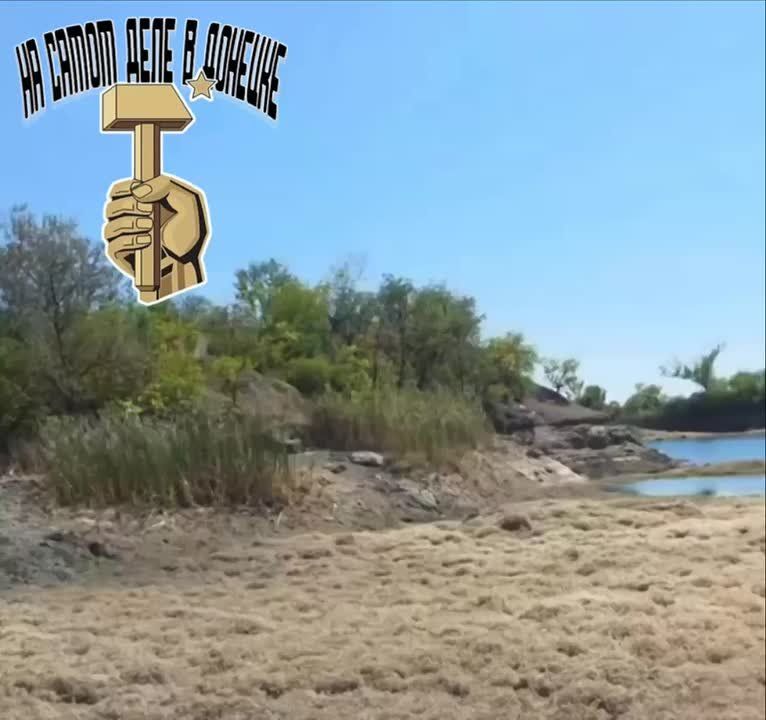��� �������� ����������� ������ ��������