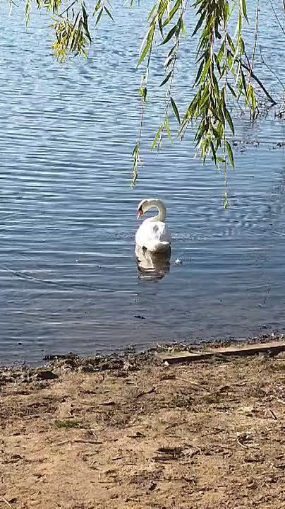 ������ �� �������� ����. �����������