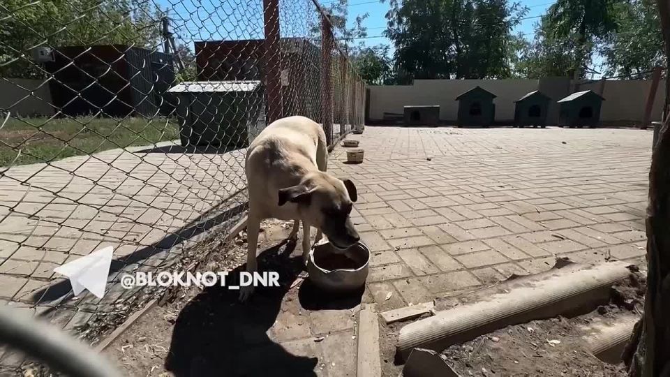 ���� ������ܻ �������� � ������ ������������ ��������� ��������� �������