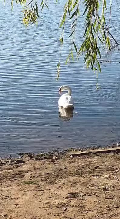 �������� ������� � ��������� ���� ��� � �����
