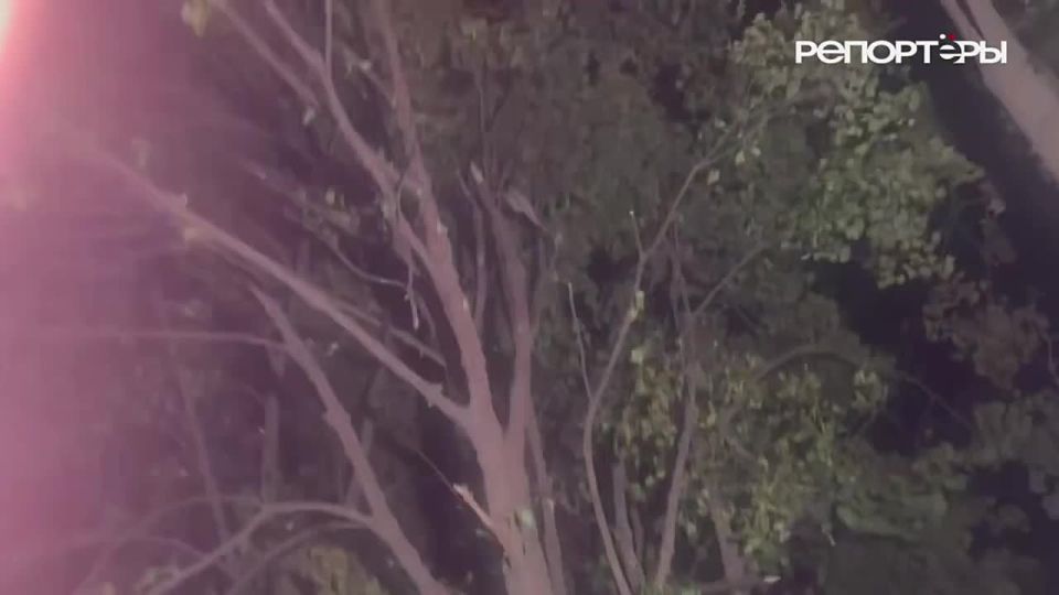 ����� ������ �� ���� ��� � ����� �������� � ������� ��������� ��-����� "��������"