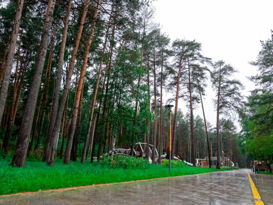 ��� ������� ��������� ������� �� � ���� �� 8 ��������: ������-����������