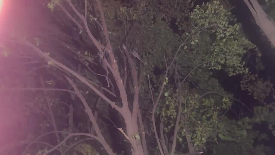 WarGonzo: Удар БПЛА ВСУ — в парке Донецка ранены четверо, в том числе дети