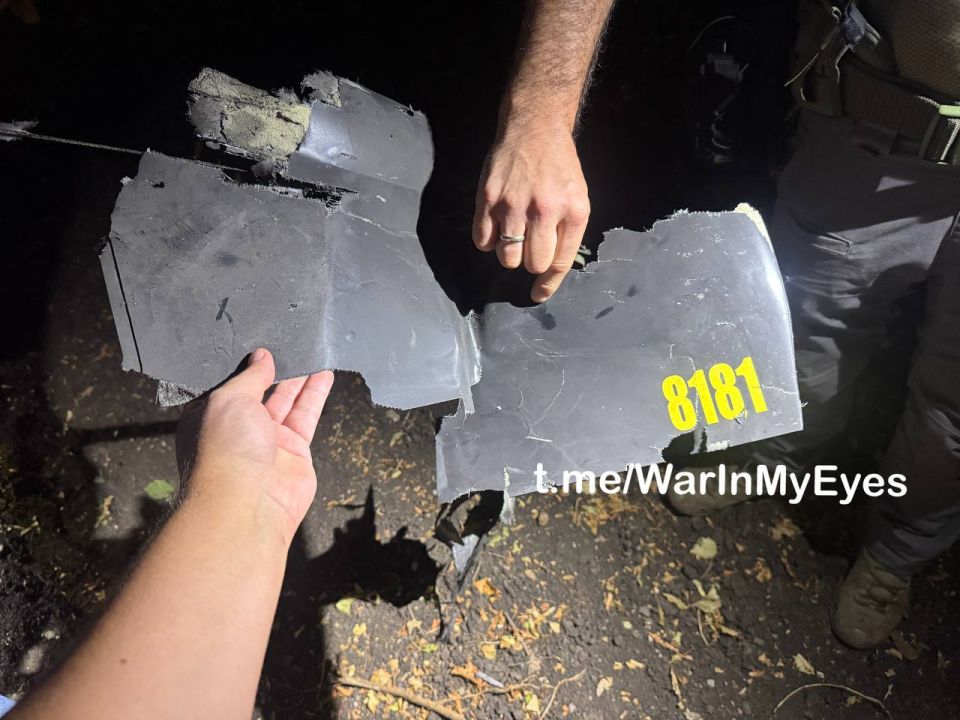 Родион Мирошник: Сегодня ночью ВСУ совершили дронную атаку на парк «Гулливер» в Донецке