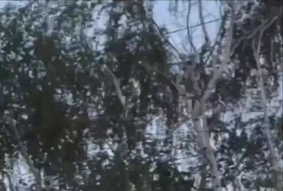 Алексей Живов: ВСУ атаковали Донецк и Макеевку британскими крылатыми ракетами Storm Shadow