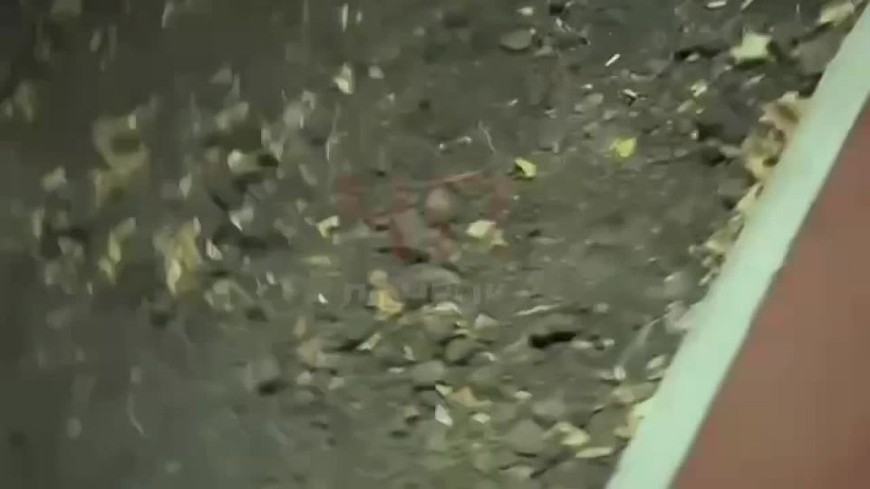 ������� ��� ������� ���� �� ������ ����� ��������� � �������