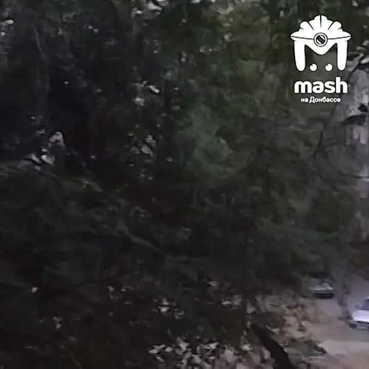 ������, �������� � �������� ��� ��������� ���