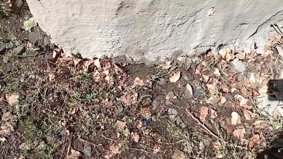 �������� ��������� ������: ���������� ������ �� ����