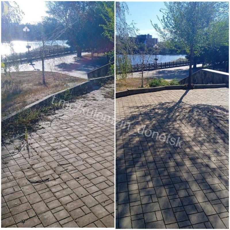 ������� ��������: ���������� ����������� ������� ������������� ��������� ������ �� ��������������� ���� �������