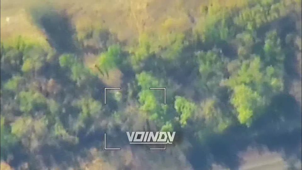 ������ "�������" �� ������� 305-� ����������� �������������� ������� ���� ��������������� ������ �� ����-�������� �����������