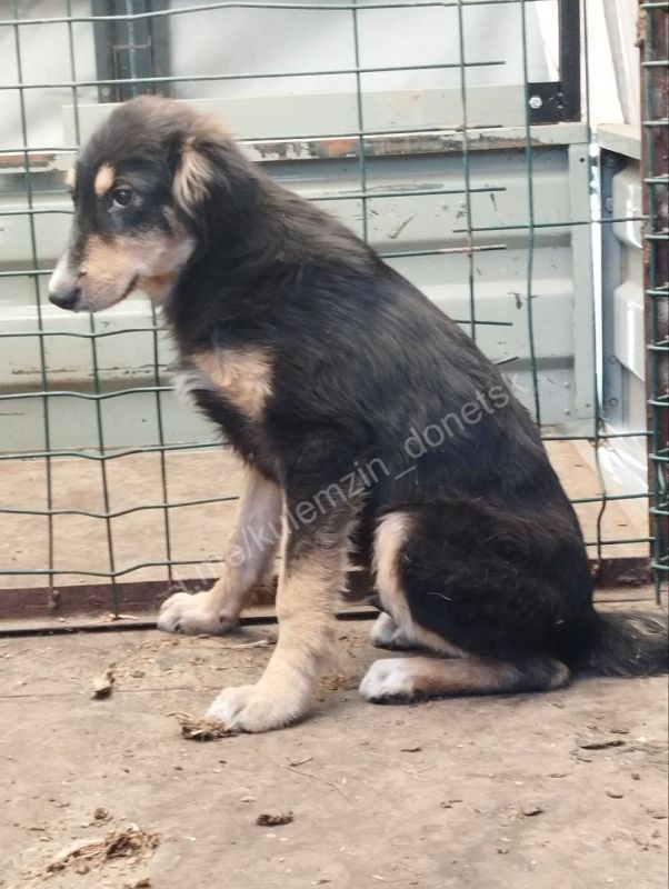 ������� ��������: ����������� ����������� ��������� � ������ ��������� ��������, ����������� ������������ � ������� ������������ �������, �������� ������������ ������ � ������ ������� ���������, ���� ��� ���� ���� ����� ���