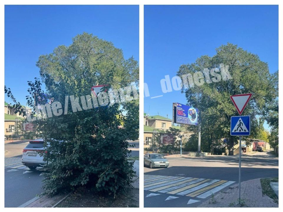 ������� ��������: ������� ������������� ����������� �������� ������������� ���������� ��������� �� �������� ������ �������