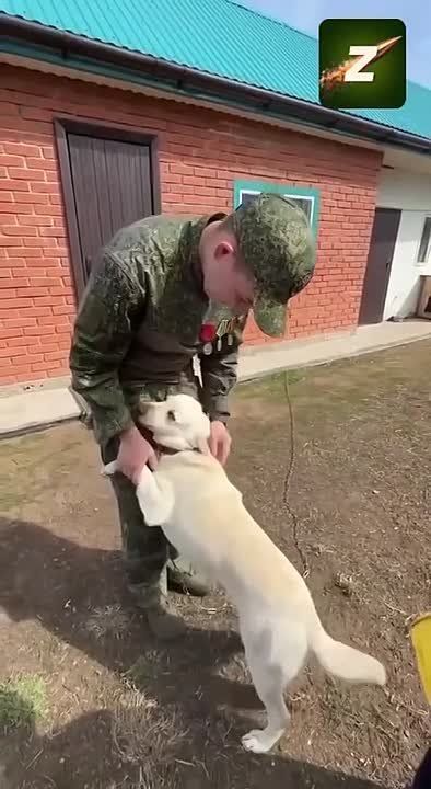 ��������� � ������ �� ���� ���
