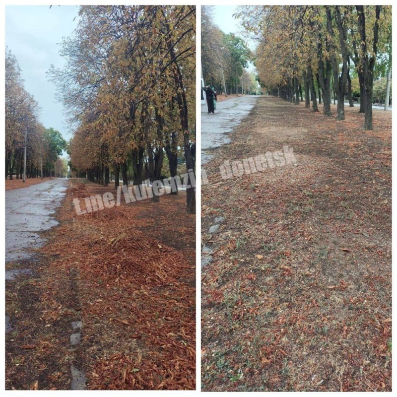 ������� ��������: ���������� ������������� ����������� ������� ������������� ���������� ������ � ��������������� ���� �������