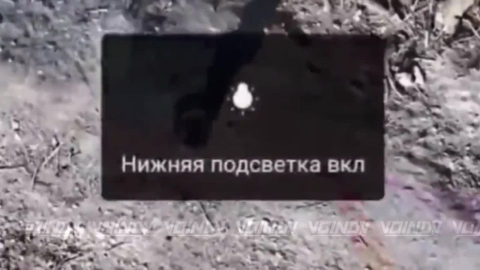 ���������� �� ����-�������� ����������� � ���� ��������������� ����������� ����� "������"
