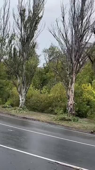 ������ �������� � ���������� ������������ ������� � ��������������