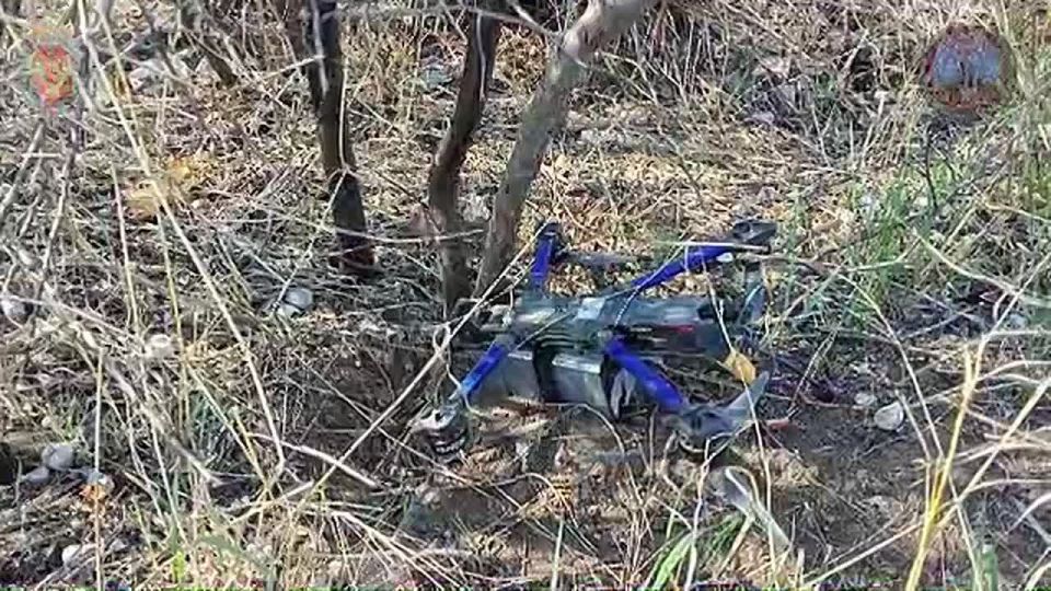 � ��� ����������, ��� ������ �������� �������� ������ � �������� �� ���������� ����