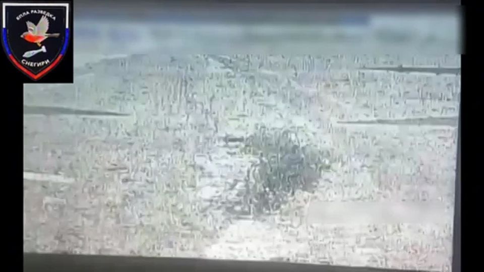 ������ ������ ����������� 37 ��������� ����������� �������������� ������� ����������� "������" �� �� �� �������, ������� �� ��������