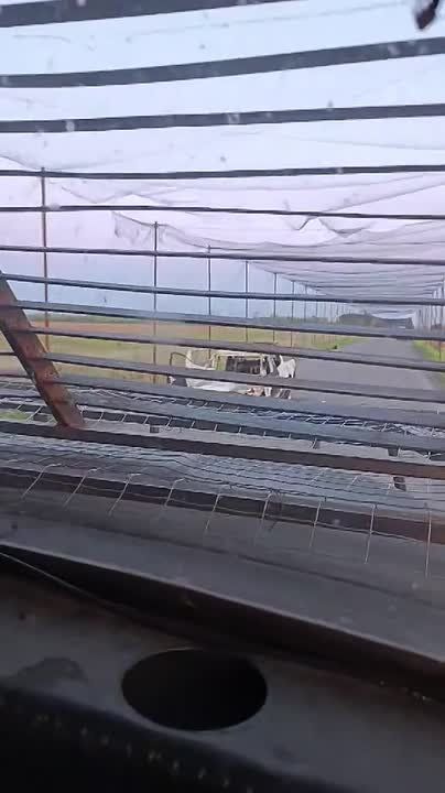 Чингис Дамбиев: Очередная "дорога смерти" для украинских оккупантов в Донецкой Народной Республике