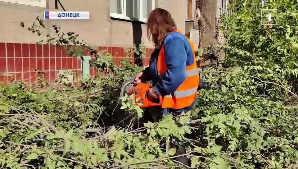 � ������������ ������ ������� ���������� � ���������� ��������� �������� ����� ����� �������