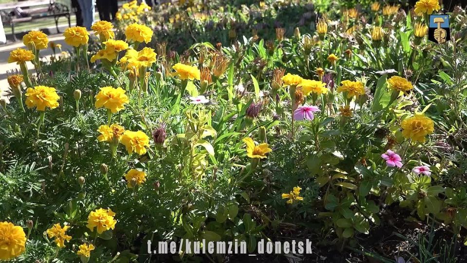 ������� ��������: ��������� �������