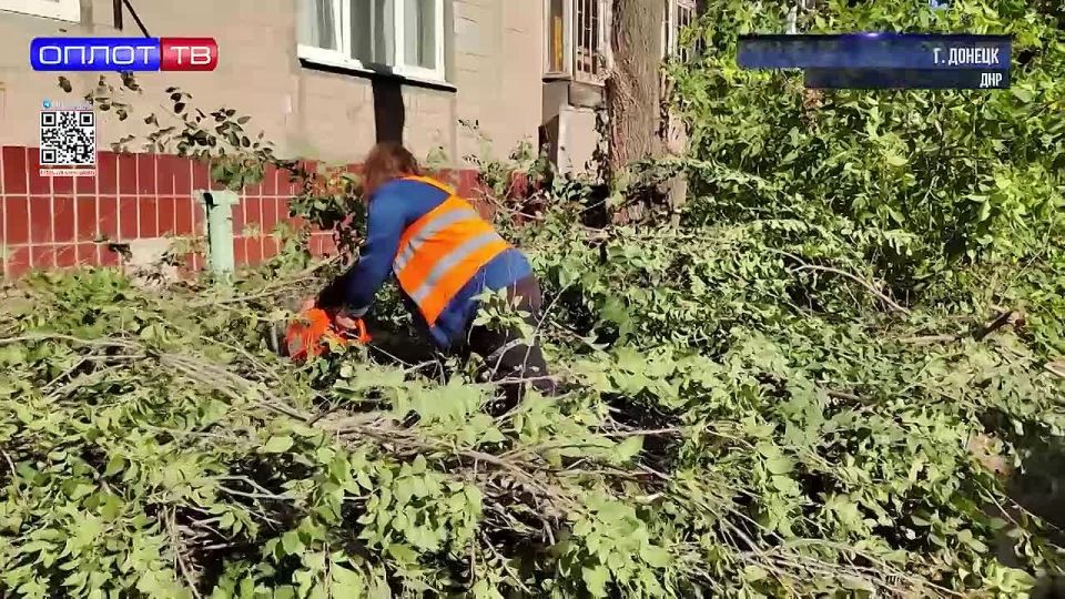 Теперь удобно и безопасно: Елена Никитина помогла жителям с расчисткой участка дома