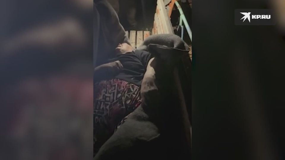 � ������������� �������� ����������� ��������� ������� �� ������� ��������