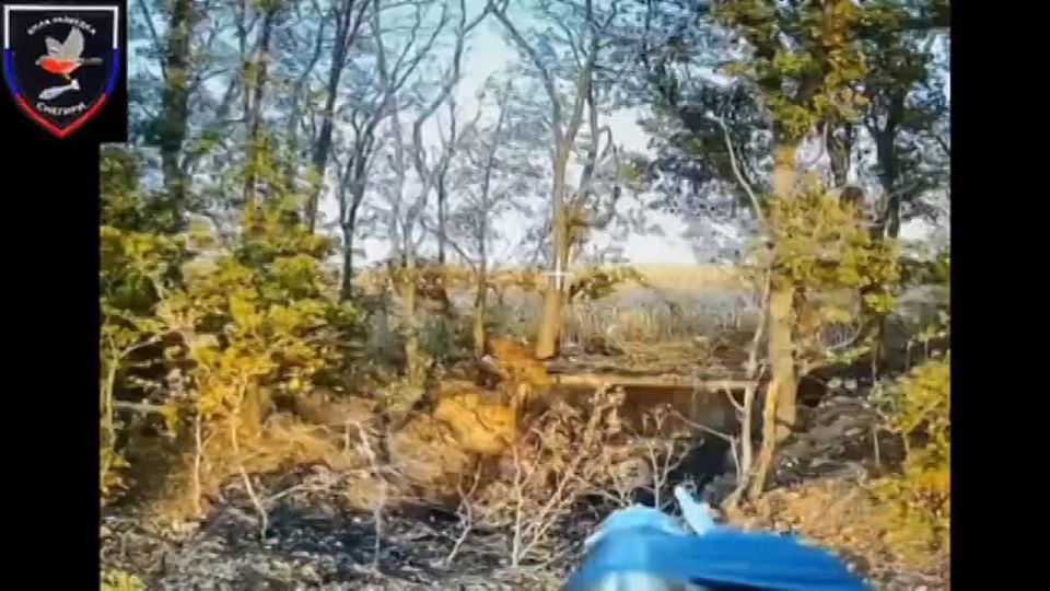 ������ ������ ����������� 37 ��������� ����������� �������������� ������� ����������� "������" �� �� �� �������, ������� �� ��������