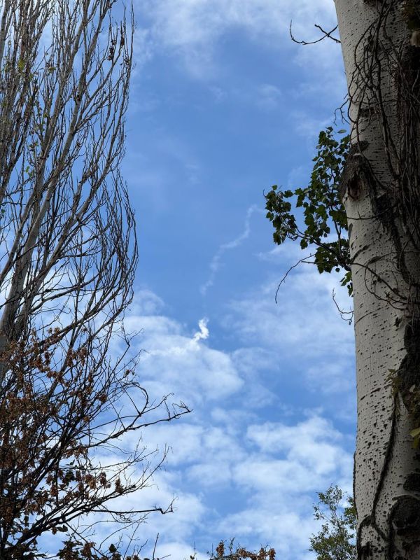 Андрей Руденко: В Донецке работает ПВО