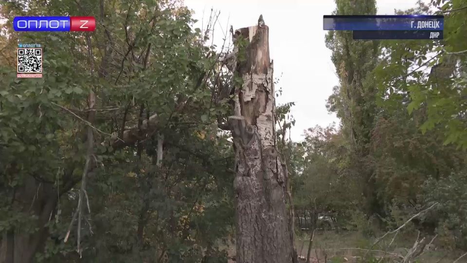 ���� ��������� �������� � ����������� ������ �������