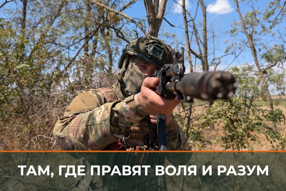  :  ,             ,          - 