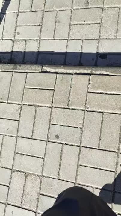 � �������� �������� ������ �������� ��������� ������