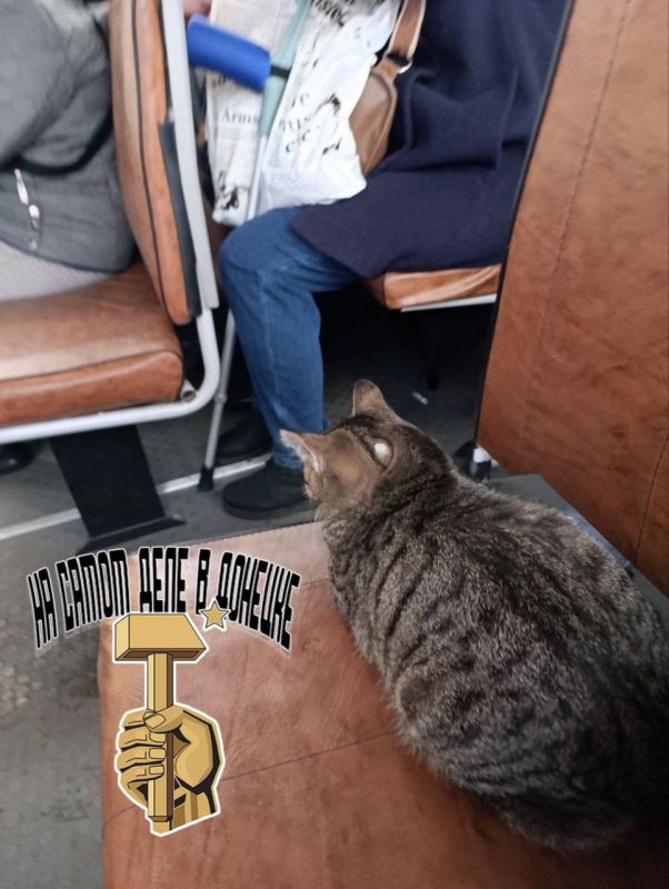 ��� �������� �� �������� �19�