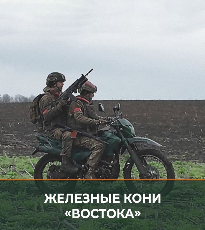  :     -        ,       ,    ...