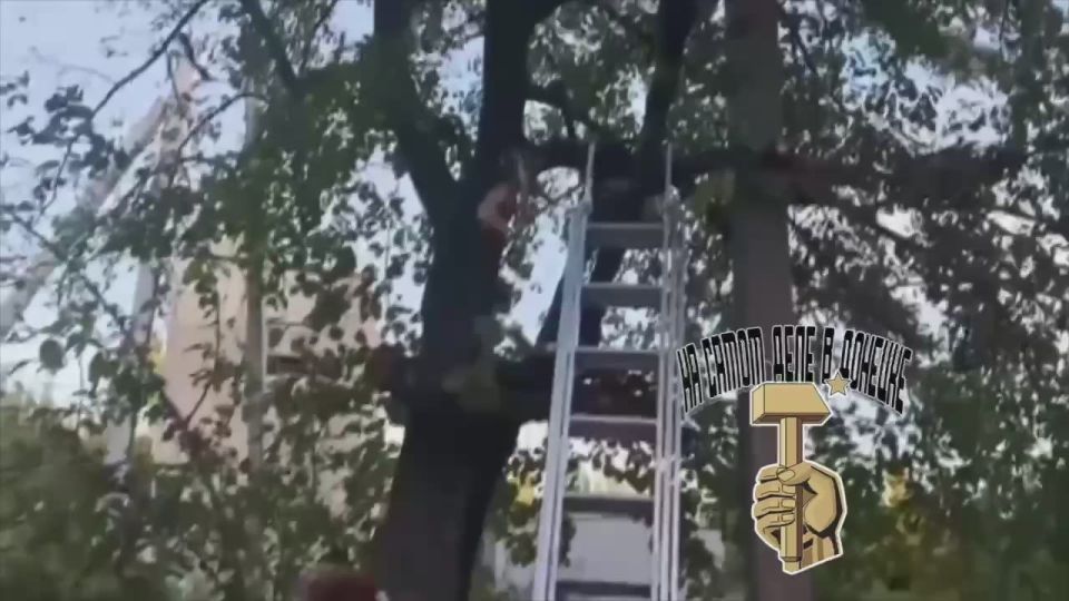 ����������� �������� ��������, ���������� ���������, ��������������, ������� ���� �HIMARS�