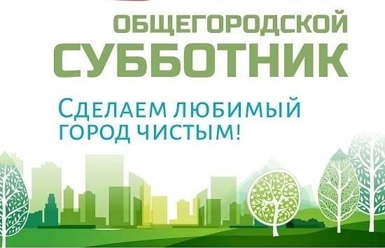 Елена Рязанцева: Уважаемые жители Пролетарского района!