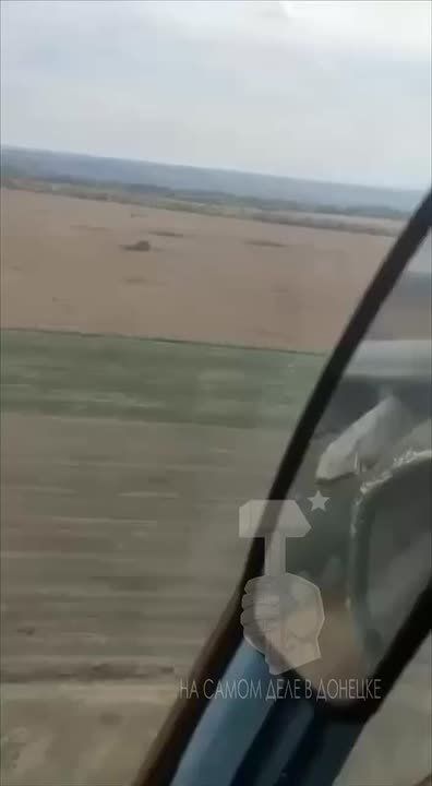 ��� ����-������� �����. �����������