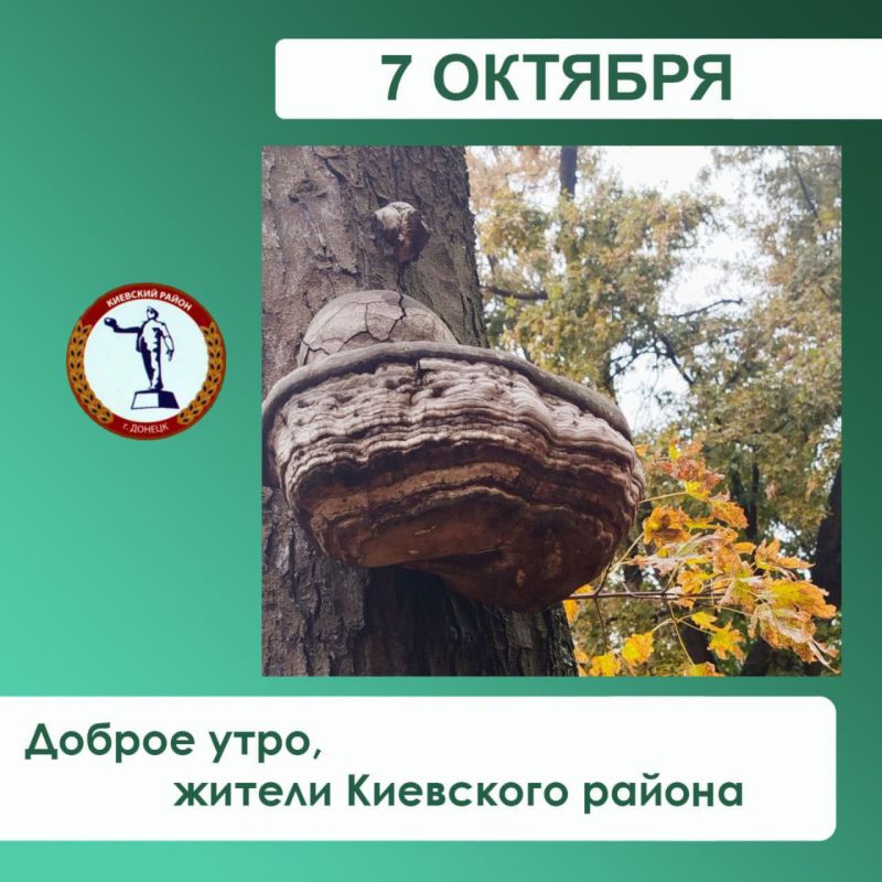 Валентин Левченко: По информации РЭС Киевского района
