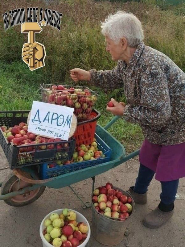 � �������� ������� �������� ���������� ������� �����
