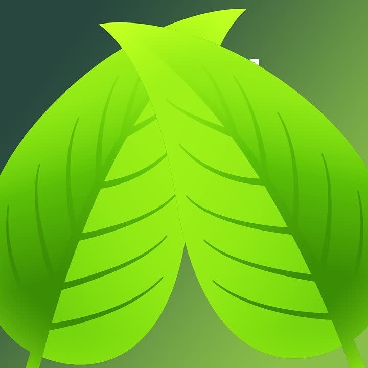 ���� ������: ��� �����, 11 ��������� � ������� ��������: ������������ ���� ������ �� ��������� ������ ������