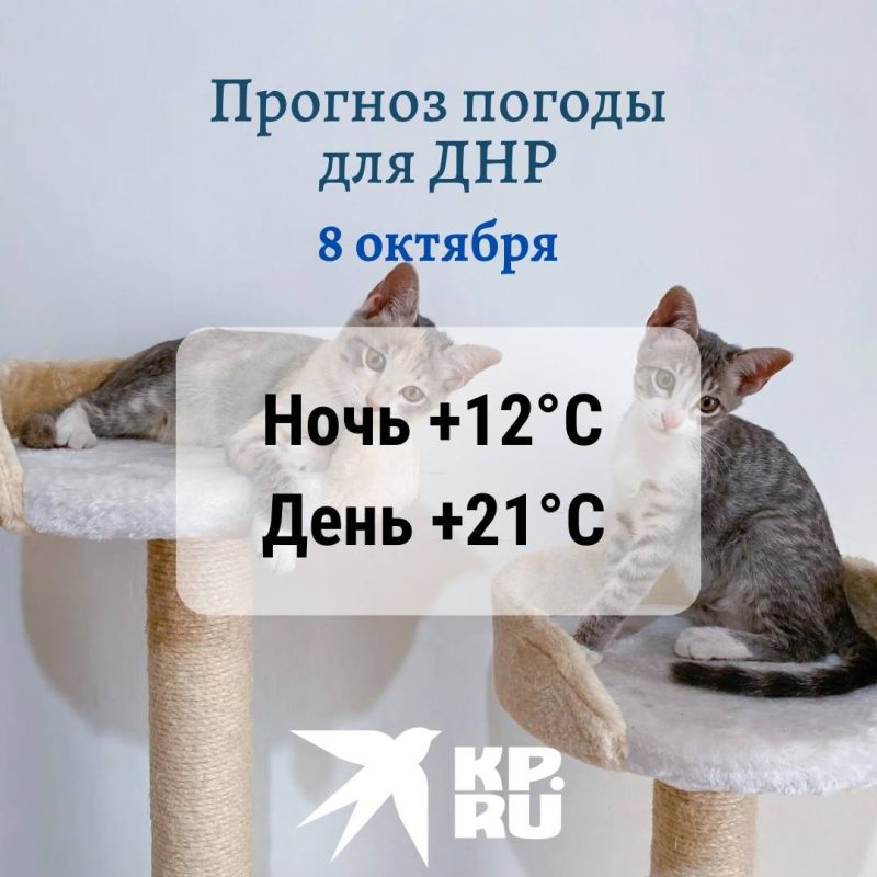 � ������� � ����� ����� ������� �� ������ ������, ��� �������