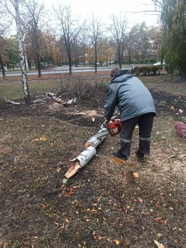 Наталья Бегуненко: Петровский район присоединился к акции Чистый четверг
