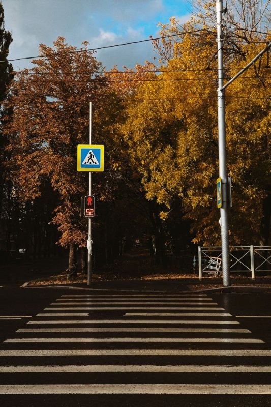 Денис Григорюк: Осень. Донецк vs. Питер