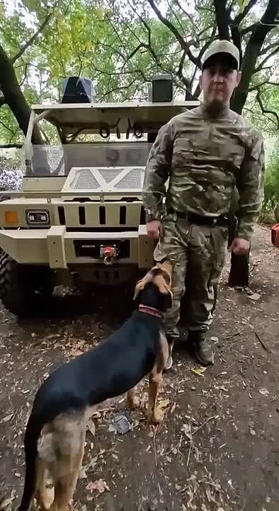 ���� �����������, ������.. ��������� � ��������� �� ������� ������� �� ����� ����������: - ������ ��� 33 �����