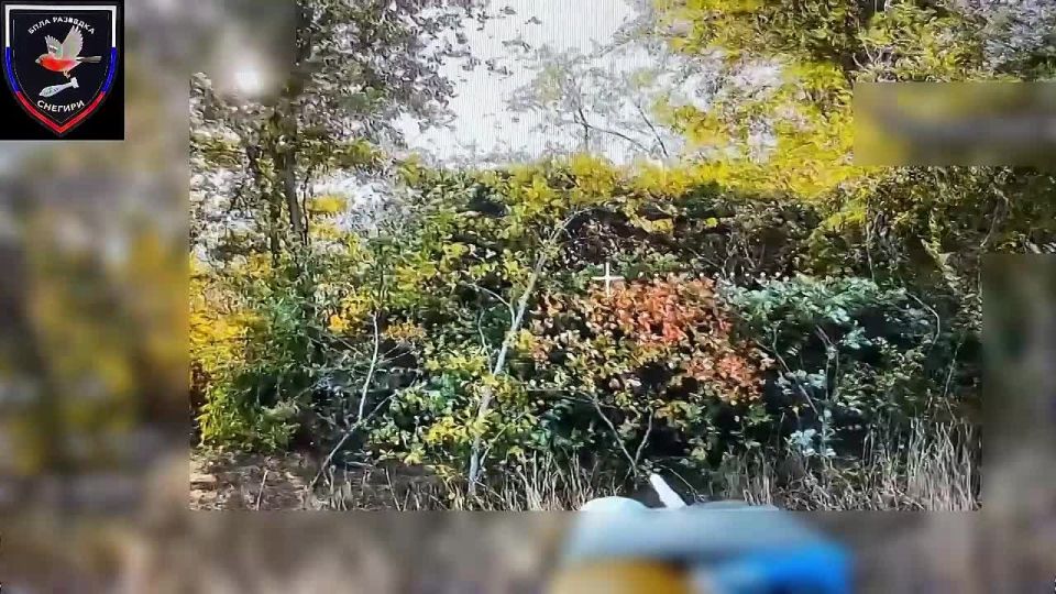 ������ ������ ����������� 37 ��������� ����������� �������������� ������� ����������� "������" �� �� �� �������, ������� �� ��������